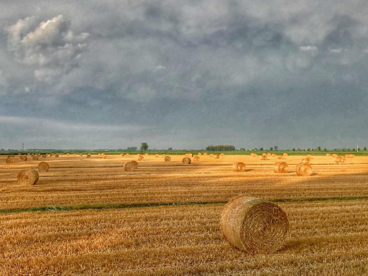 Al Vecchio Fienile San Michele al Tagliamento Exterior foto